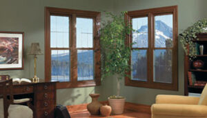 Replacement Windows